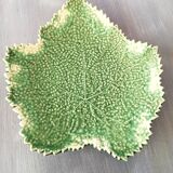 Cabbage leaf dish