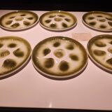 Set of 6 Moulin des Loups oyster plates
