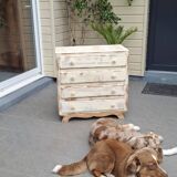 Renovated 1960s chest of drawers