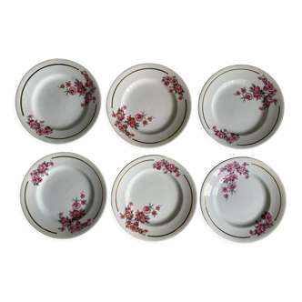 Lot de 6 assiettes plates anciennes Salins