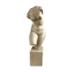 Ancient venus status