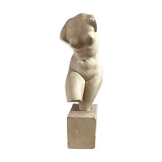 Ancient venus status
