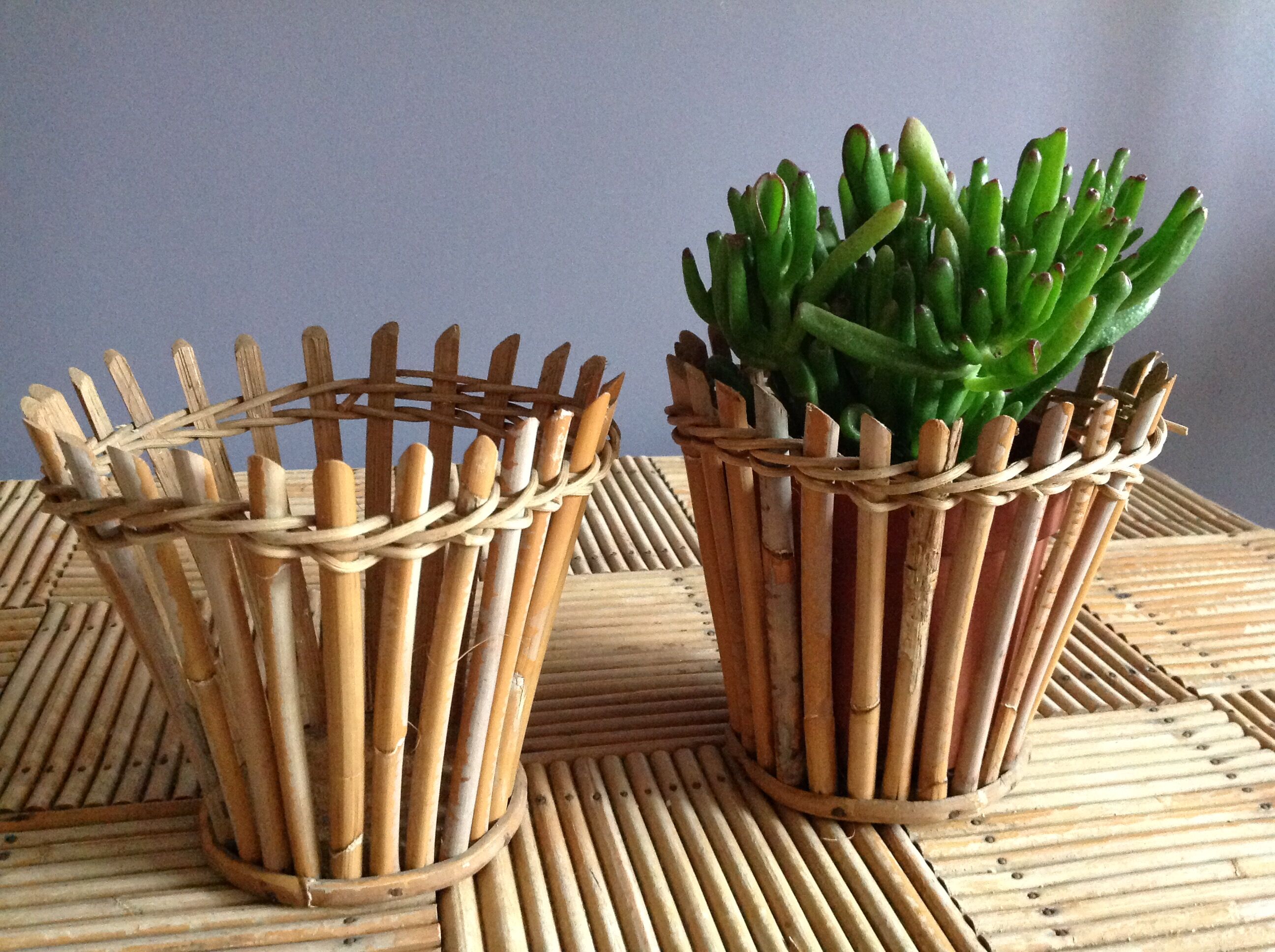 Rattan pots duo