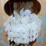 Ceiling light mother-of-pearl grapevines