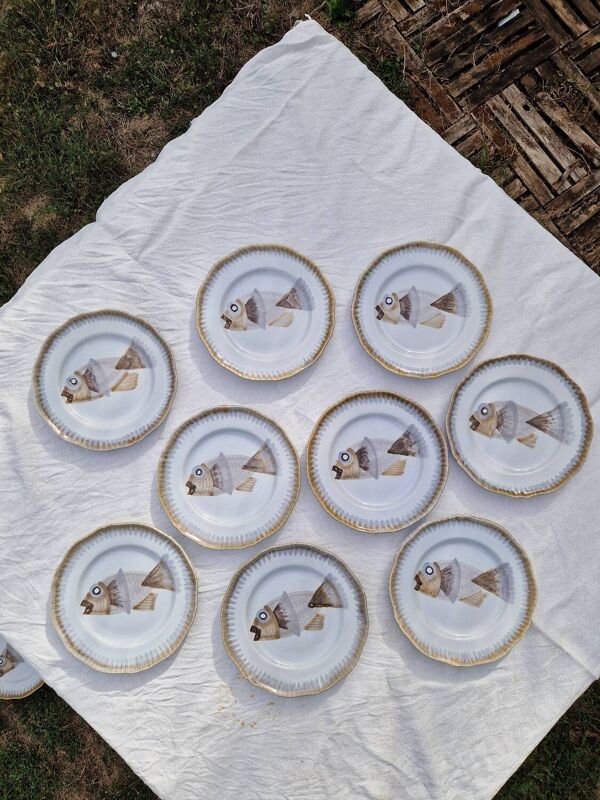 Lot de 9 assiettes plates saint Amand decor poissons