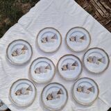 Lot de 9 assiettes plates saint Amand decor poissons