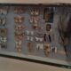 Entomology entomological box with butterflies Nérée Boubée Paris