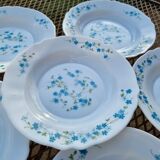 6 vintage hollow plate arcopal model veronica decor myosotis