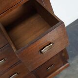 Classification cabinet mahogany drawers Netherlands 1930s