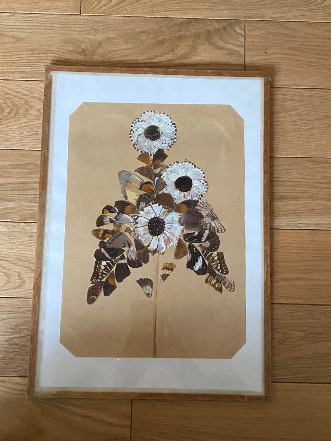 Butterfly wings frame