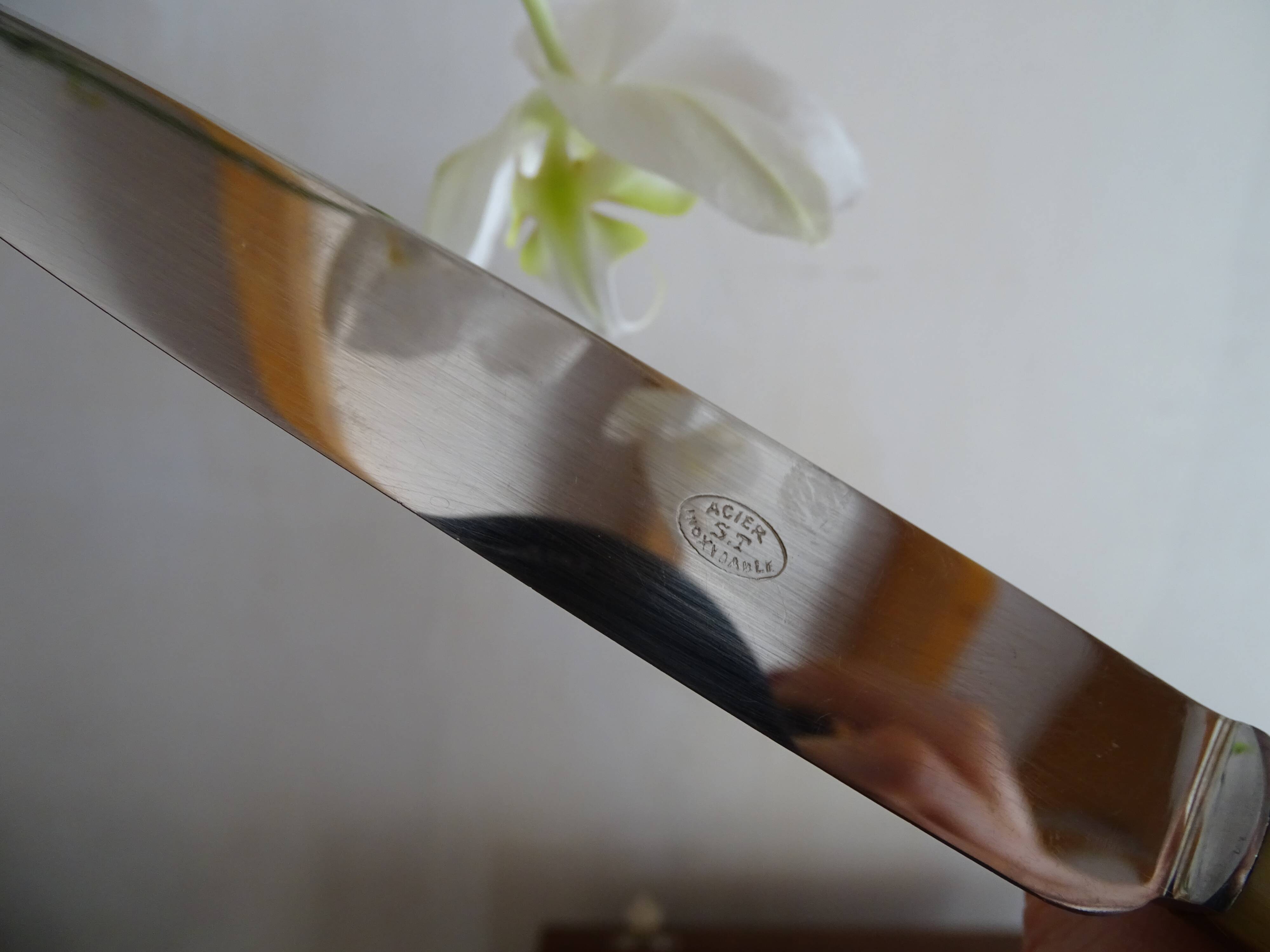 12 old Art Deco horn and stainless steel knives in case