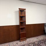 Original Globe Wernicke corner cabinet