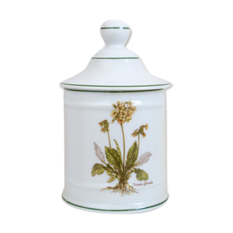 Pot pharmacy porcelain limoges primavera officinalis