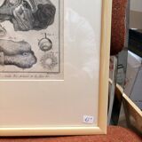 Old Print Engraving 19th Century Framed Anatomy Artery Face Bernard Dixerit