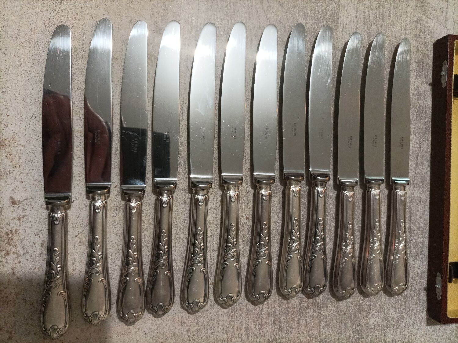 12 table knives Ercuis model Bary