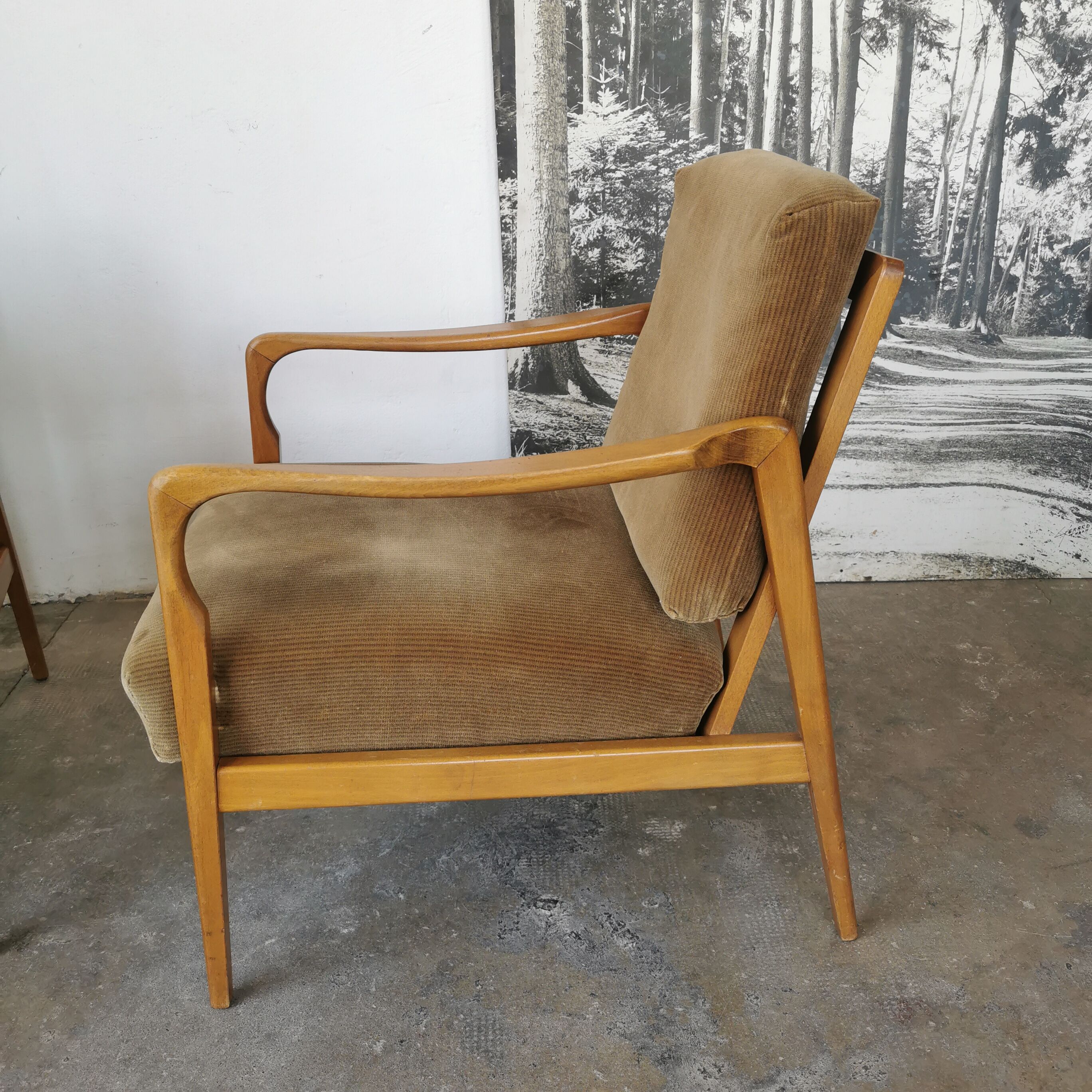 Paire de fauteuils vintage bois et velours