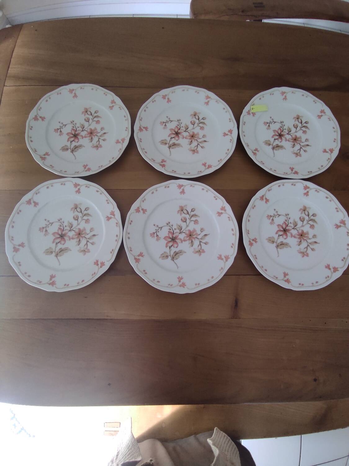 Set of 6 Limoges porcelain dinner plates by Deshoulières