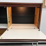 African rosewood drink cabinet, circa 1950