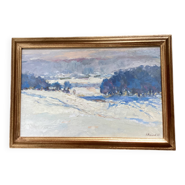 Oil painting on cardboard signed, dimensions: height - 48 cm - width - 68.5 cm -