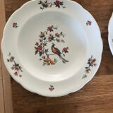 Old Art Nouveau porcelain plates Pyroblan