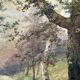 Tableau aquarelles signée Christen "Chemin en sous bois" XIX° siècle
