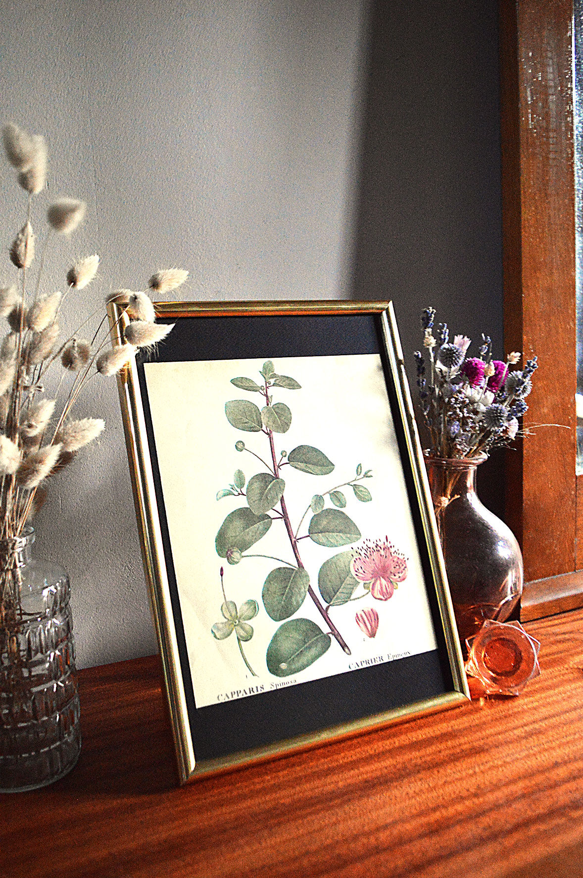 Affiche pharmaceutique encadrée