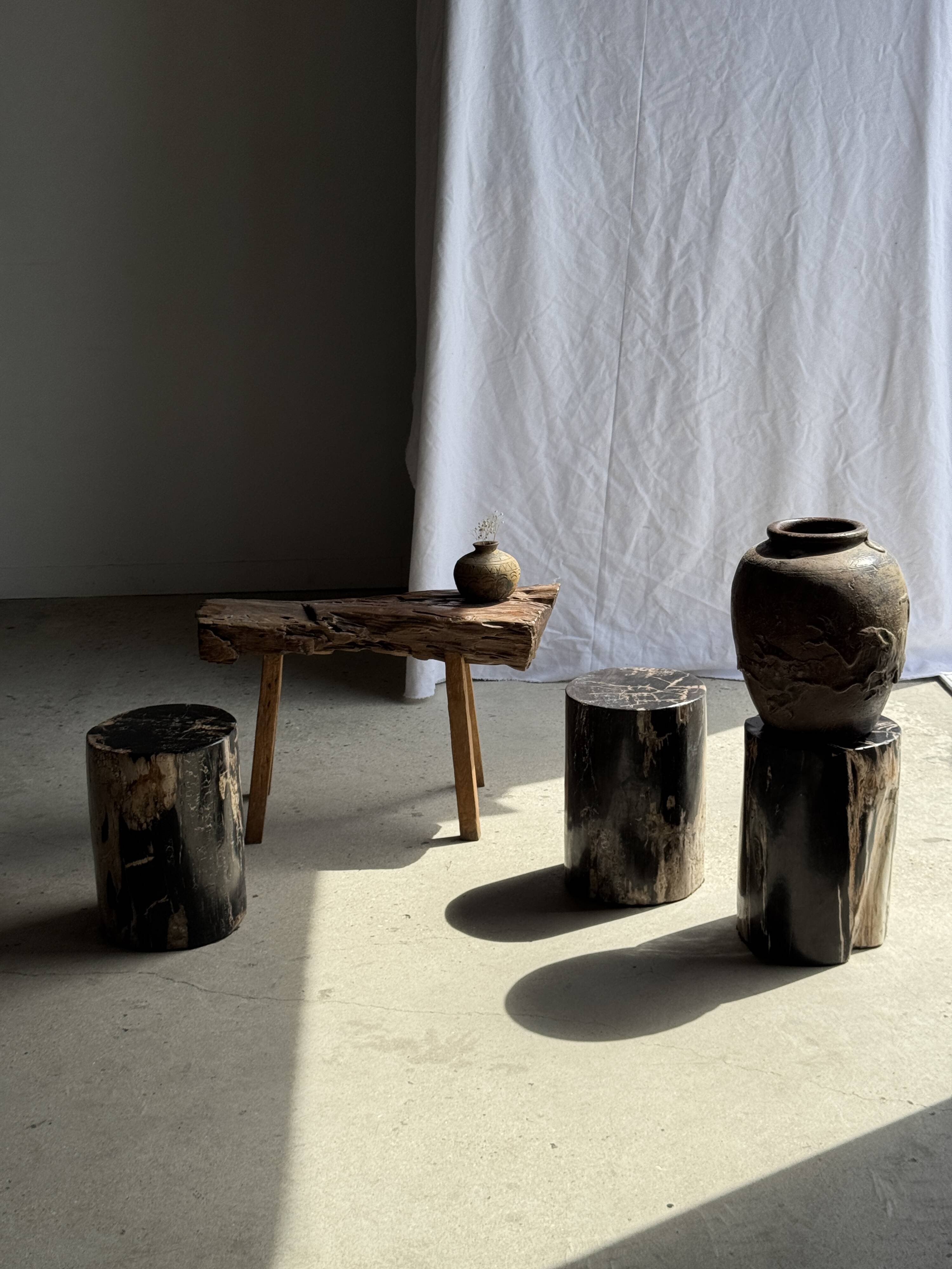 Black petrified wood side table with beige side H35 D24 - 3352