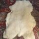 Sheepskin