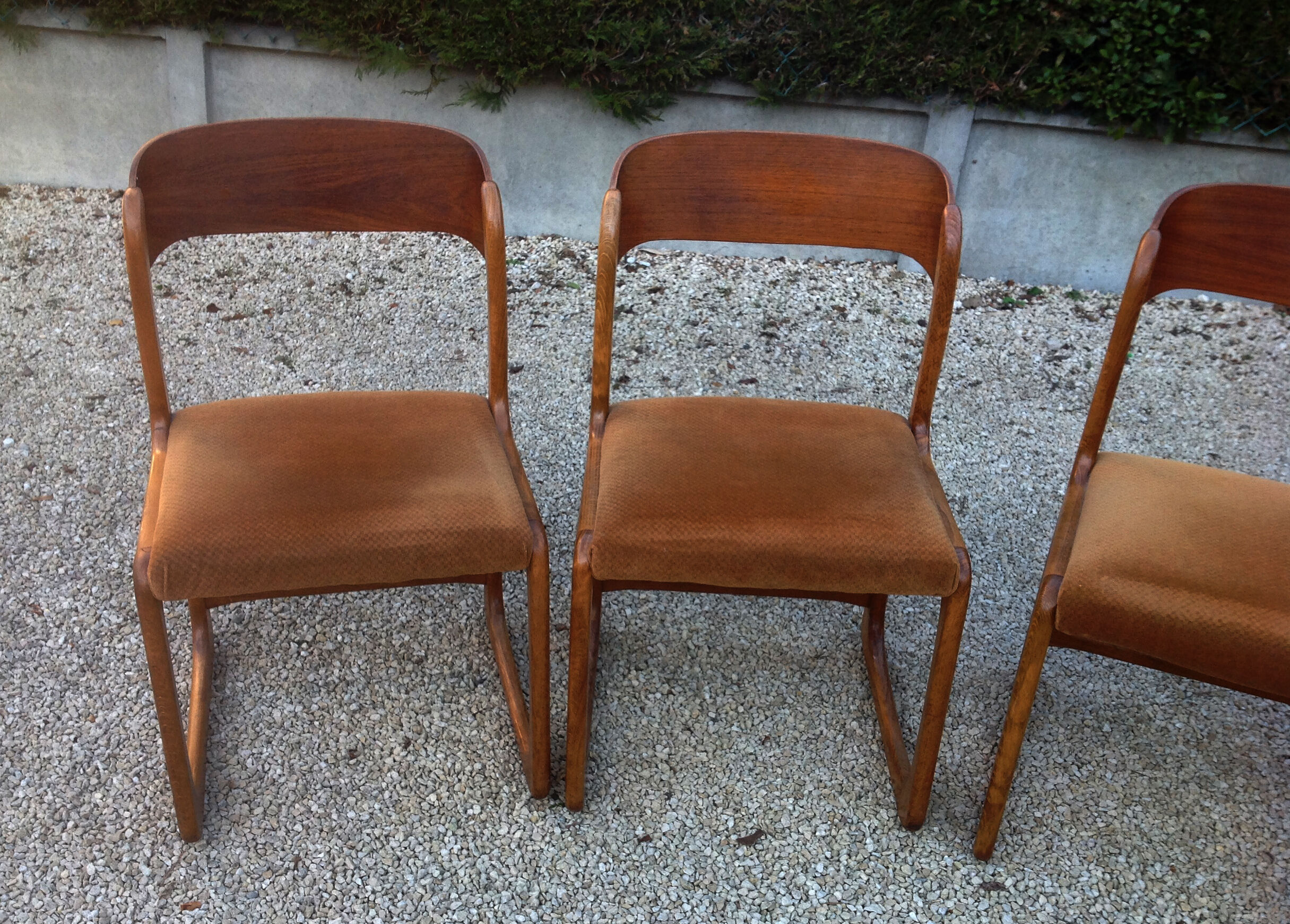 4 Baumann sled chairs