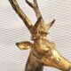 Sculpture deer ratanakosin bronze thai siam