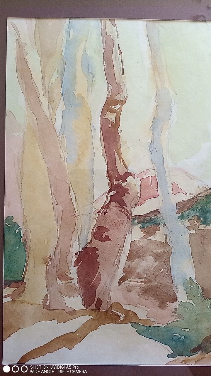 Pascale Rigat-Esselin (born in 1952) - watercolor - 32 x 48 cm - signed, dated 89