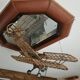 Model wooden plane stearman pt 17