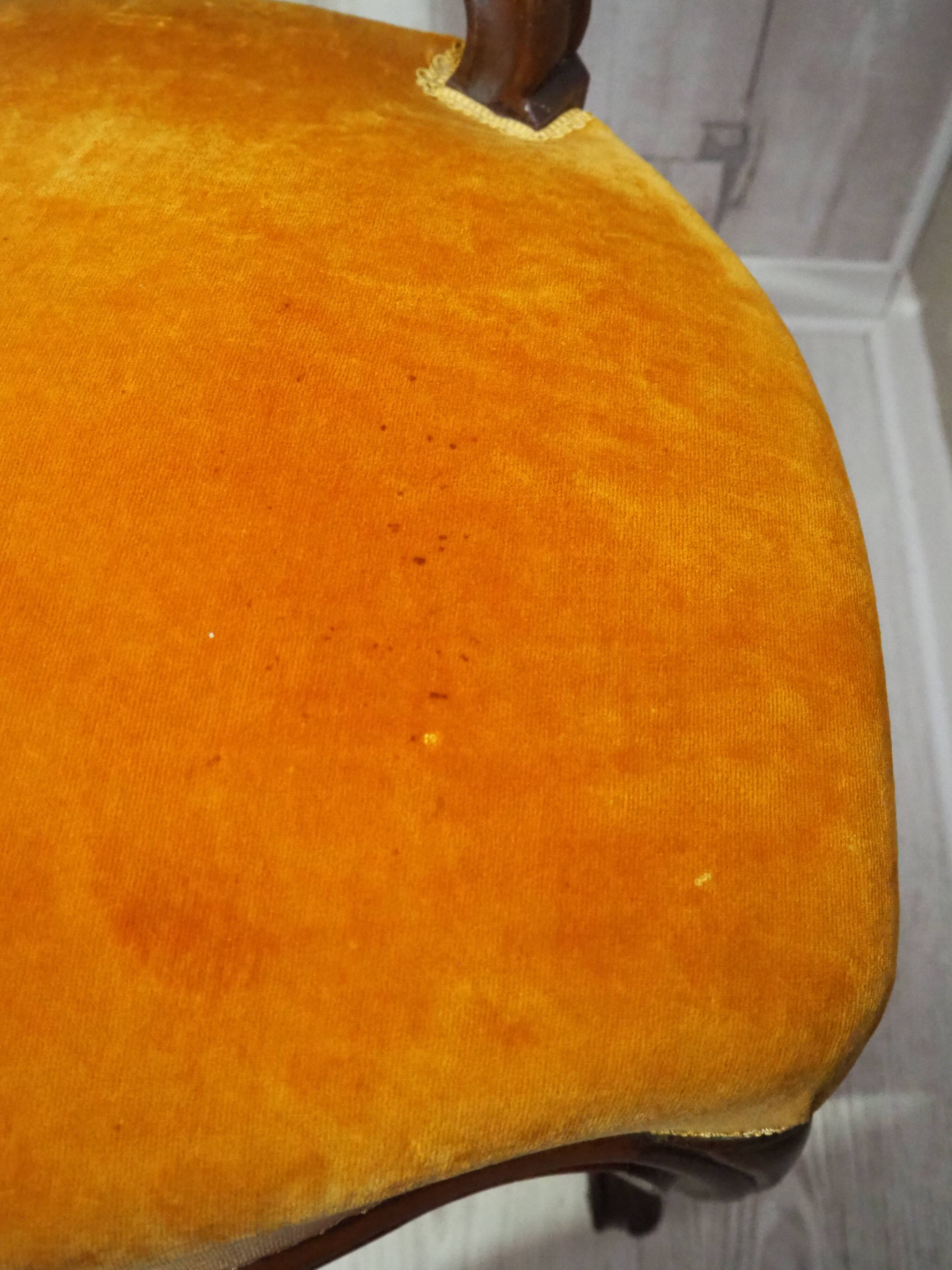 Antique Louis Philippe style padded chair - Wooden structure and horsehair padding - Color m