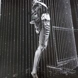 Motoki Lee title "moderu japan, 2006 / 2007 " photograph