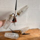 Pair of double rockabilly sconces