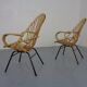 Set of Dutch Mid-Century Bamboo Chairs by Rohé Noordwolde, 1950s