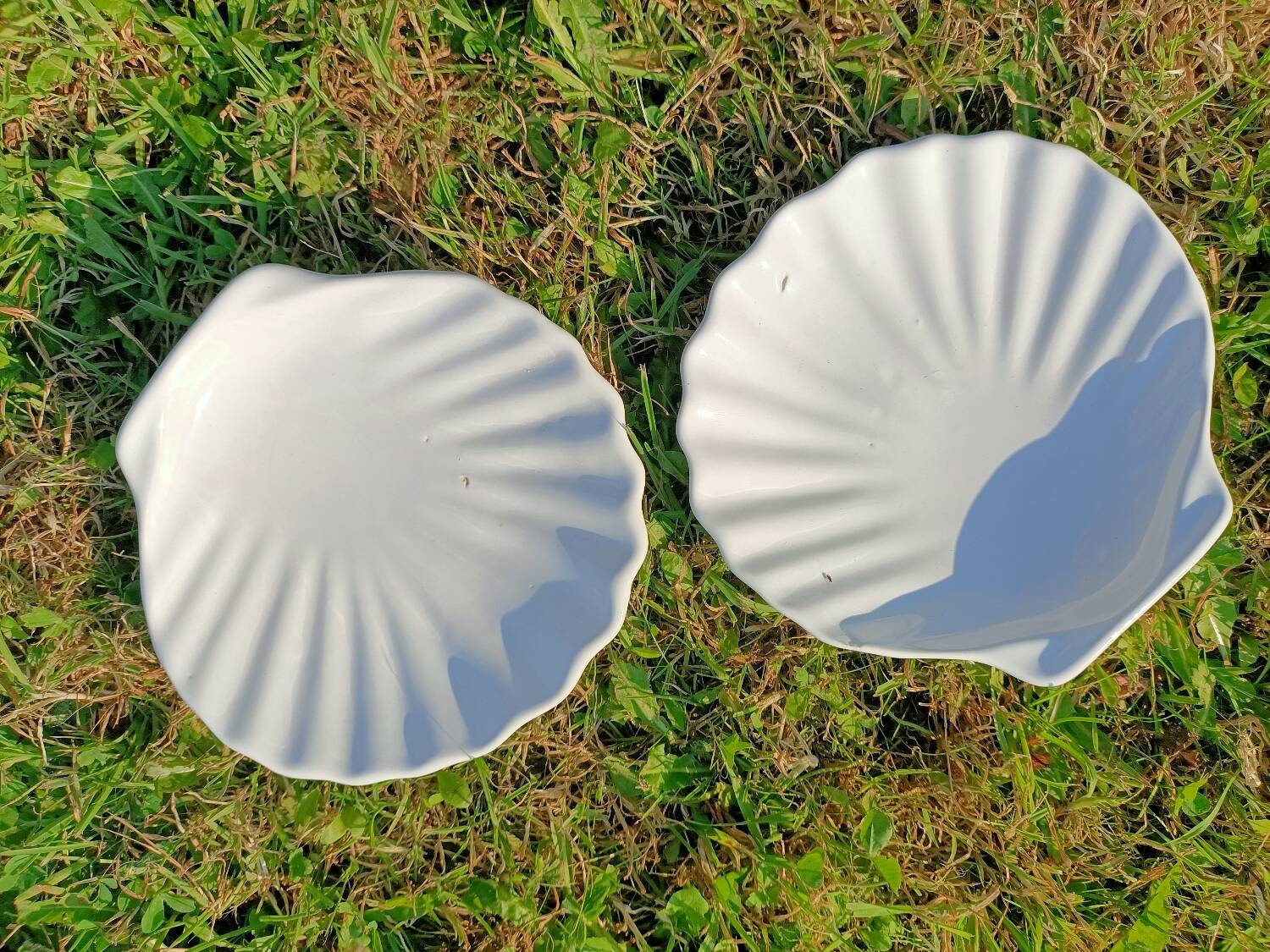 Scallop Shell Soap Dish