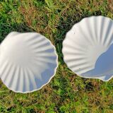 Scallop Shell Soap Dish