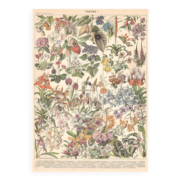 Old plate on greenhouse flowers and plants 1897