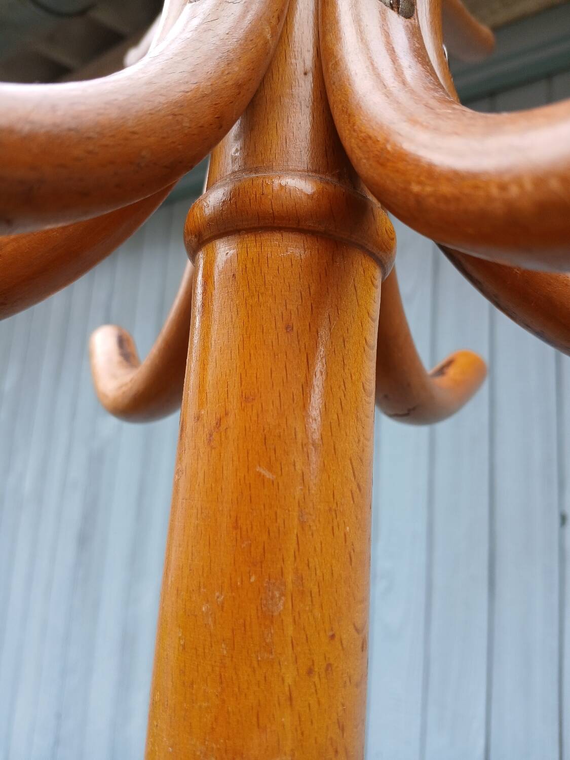Antique parrot coat rack
