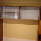 Vintage teak library