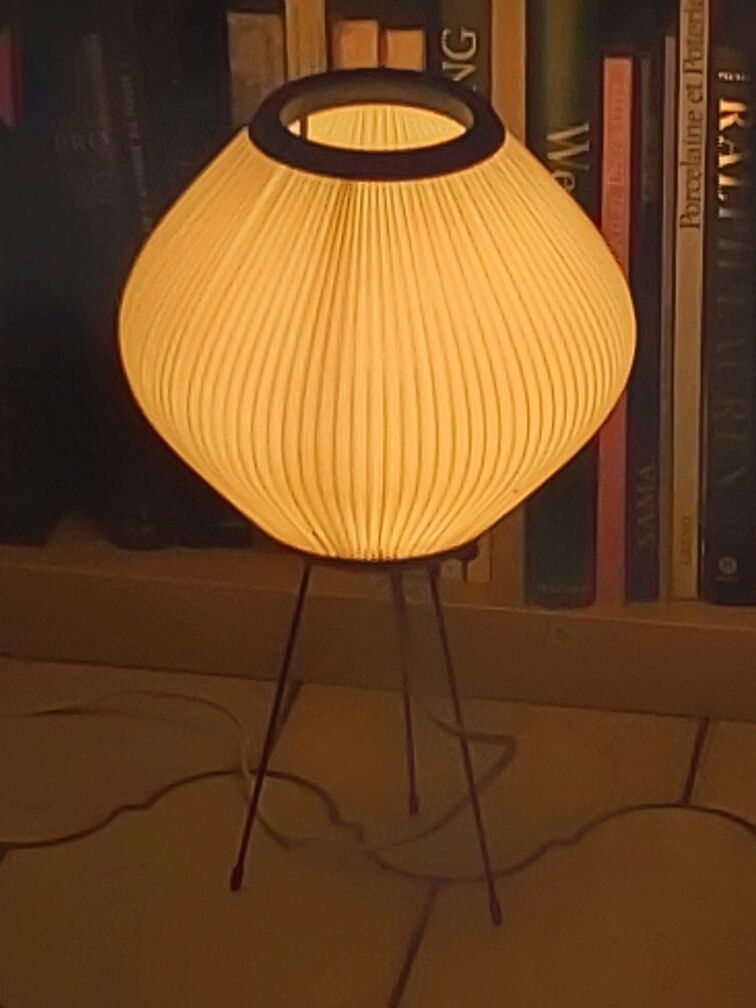 Rispal rhodoid lamp vintage 50s