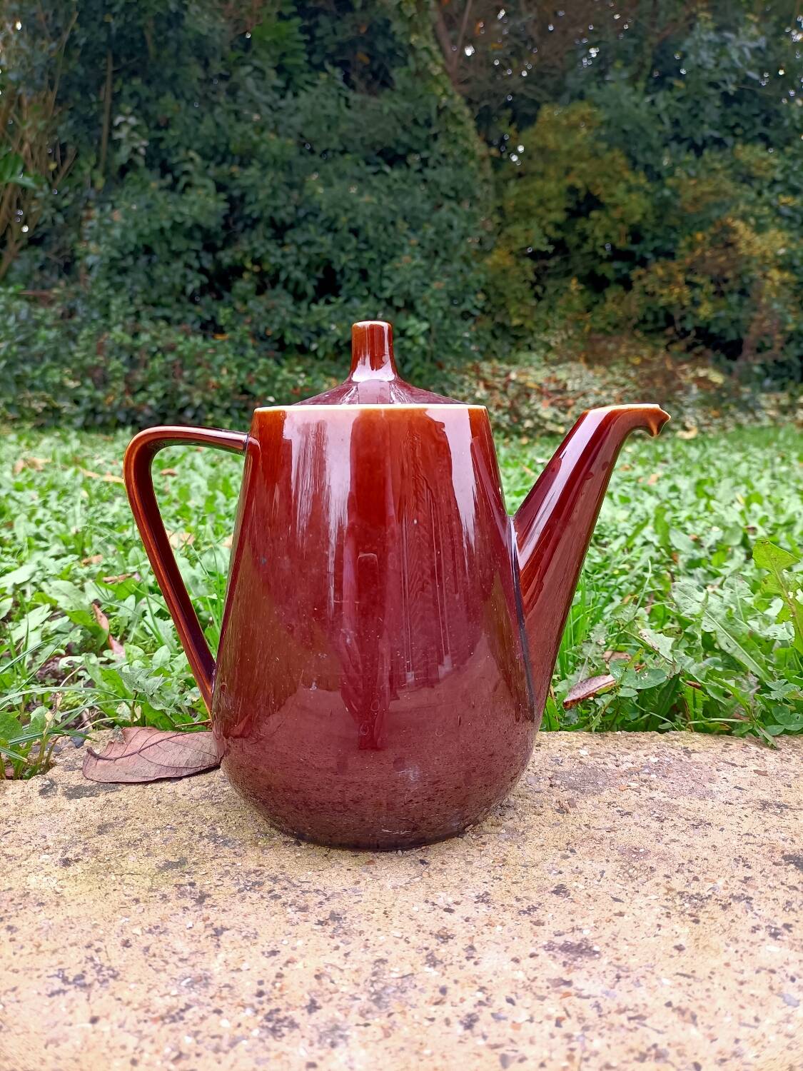 Coffee/Teapot ~ Villeroy and Boch
