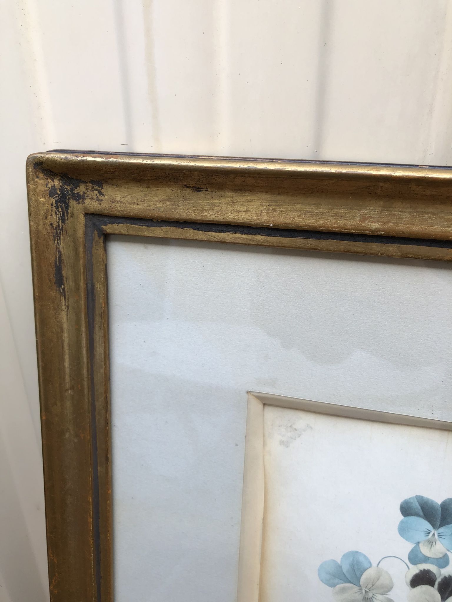 Former botanical board gilded frame PJ Redouté "Bouquet of Thoughts" Printing Victor 19th