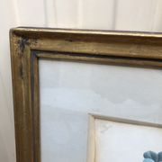 Former botanical board gilded frame PJ Redouté "Bouquet of Thoughts" Printing Victor 19th