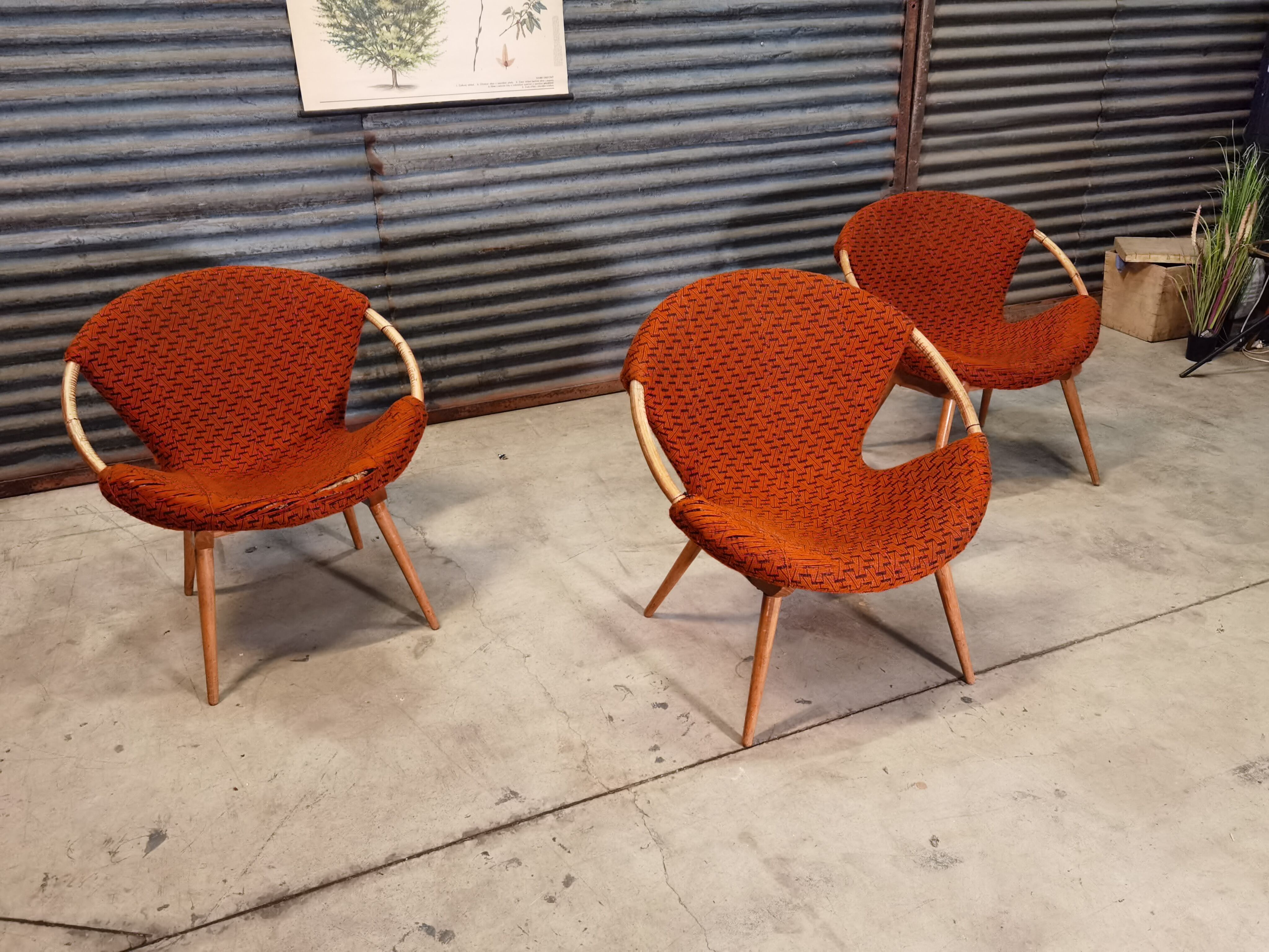 Czechoslovak shell armchair rattan wood fabric