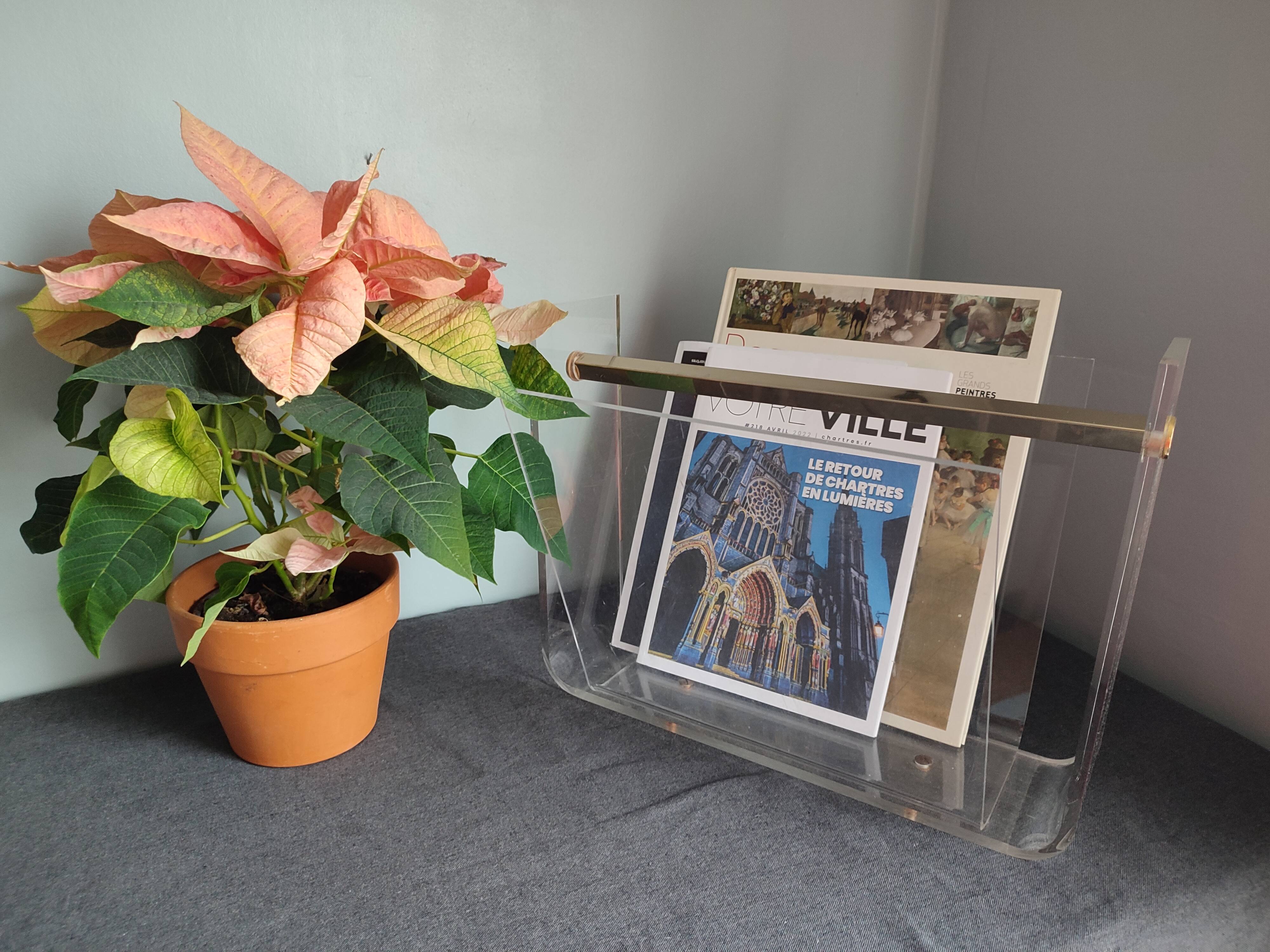 Vintage Roche Bobois plexiglass magazine door