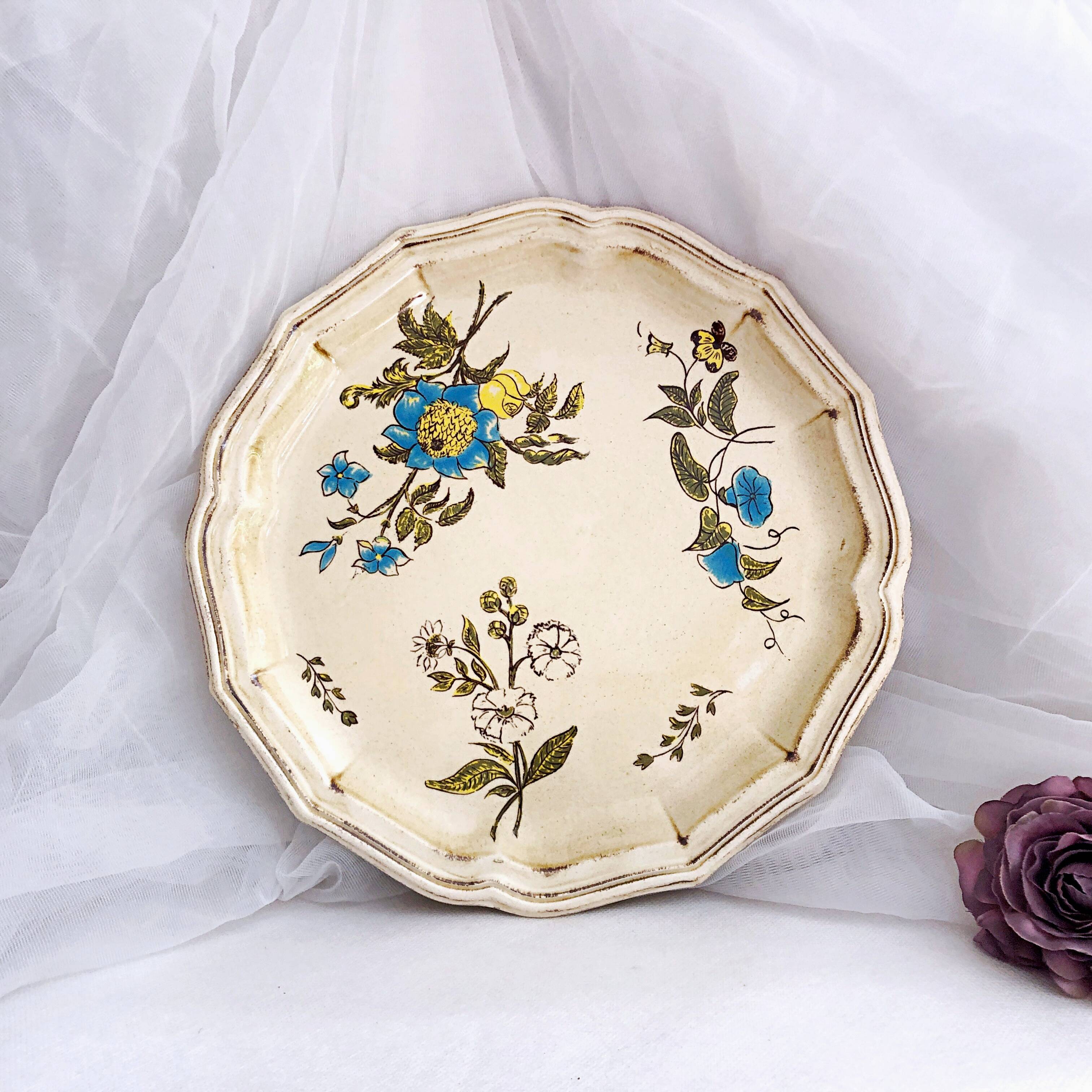 Decorative plate from Salins France decor Montpellier 25.5 cm