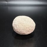 Fossil sea sponge
