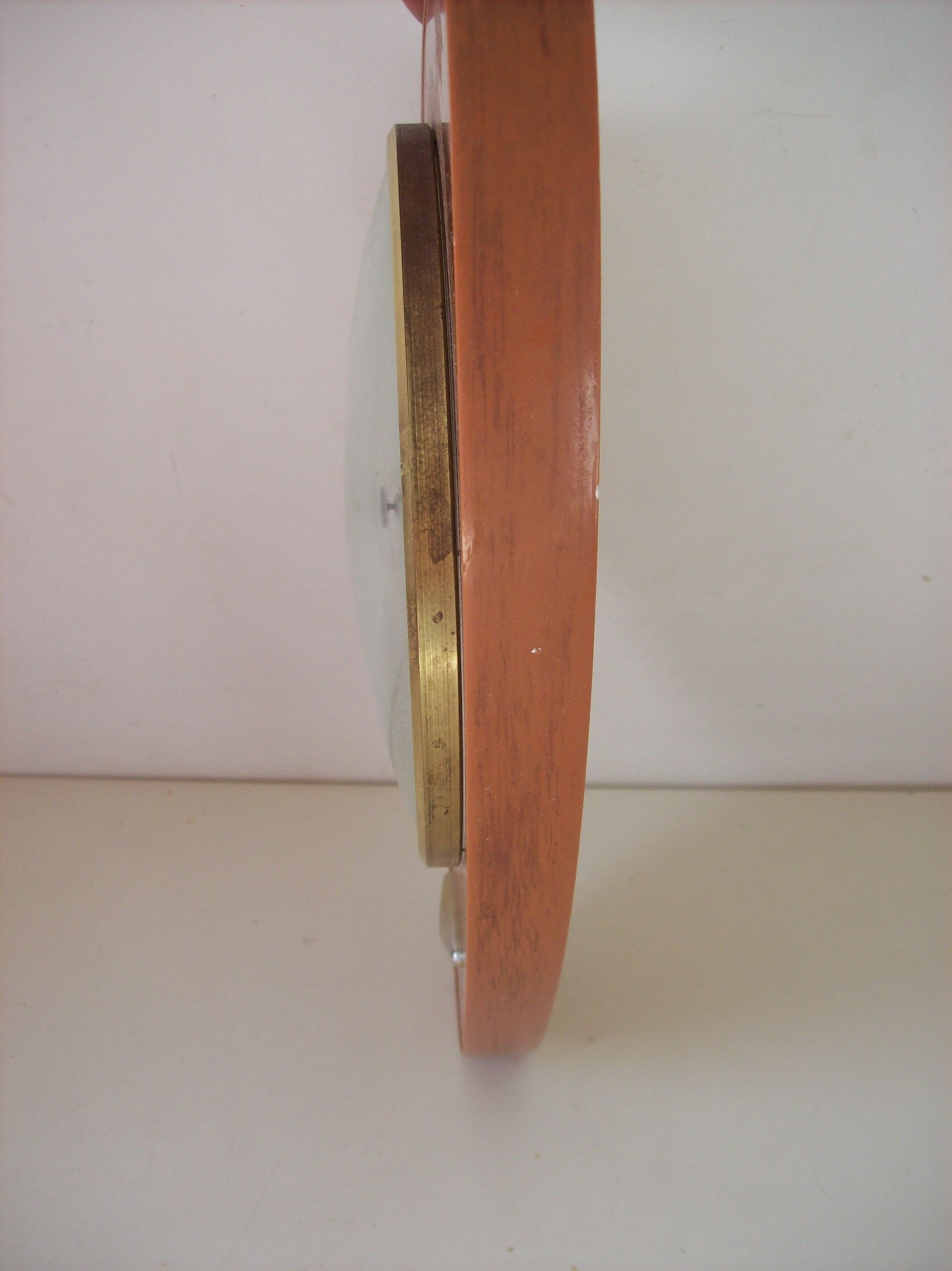 Formica pendulum